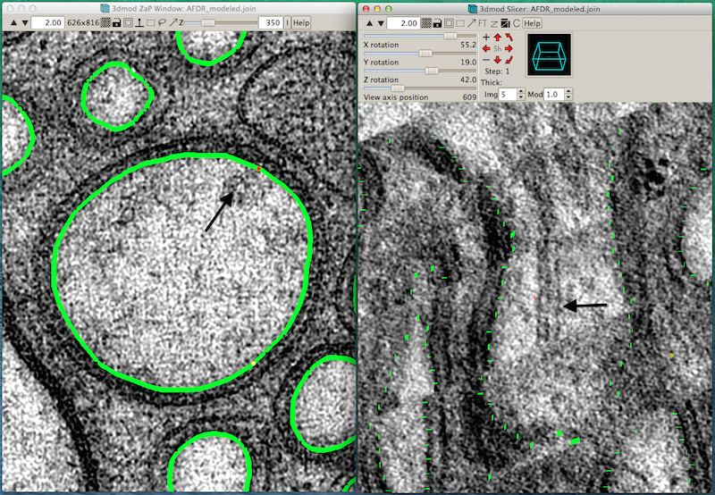 ETFIG 4: 3D Model of AFD ending.